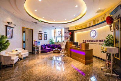 資本看好動(dòng)物醫(yī)療賽道 寵愛國際完成C輪數(shù)億元融資成為市場(chǎng)標(biāo)桿